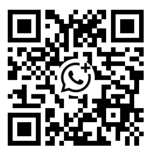 Sunlitea Sculpture Lily Whatsapp number